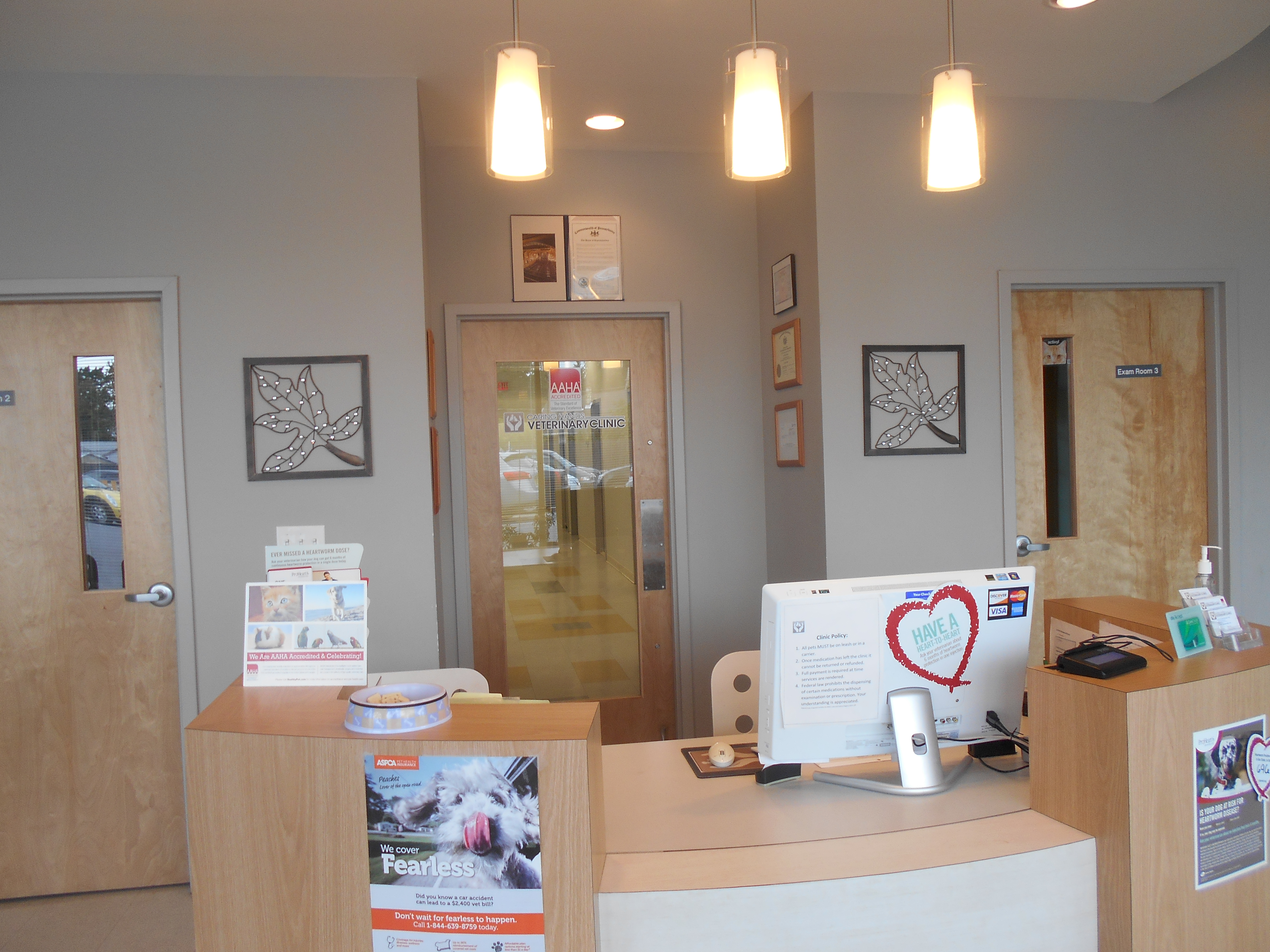 Virtual Office Tour(2) | Veterinarian in Philadelphia, PA | Caring Hands  Veterinary Clinic